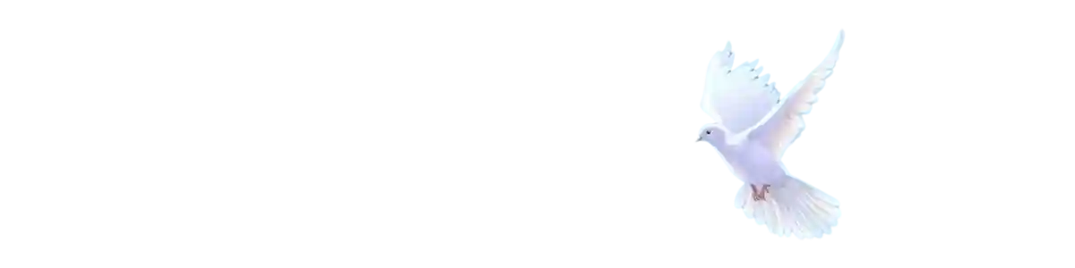 banner-titulo-de-pagina